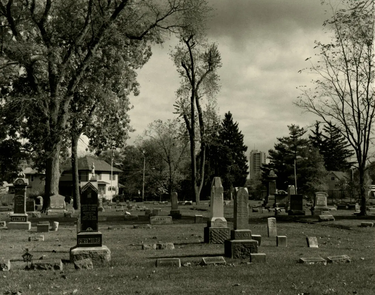 An eerie Black and White Photo looking across the City Cemetery.